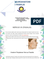 NEUROANATOMY Nervus Fasialis