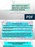 Histologia Vegetal