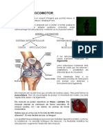 U.1 Aparell Locomotor