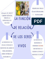 La Funcion de Relacion