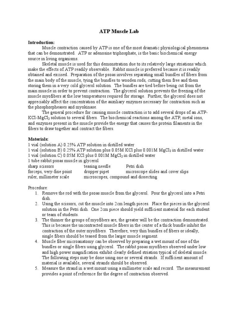 ATP-Driven Muscle Contraction Lab | PDF | Muscle Contraction | Muscle