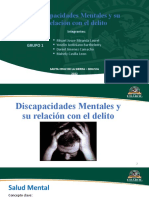 Discapacidades Mentales