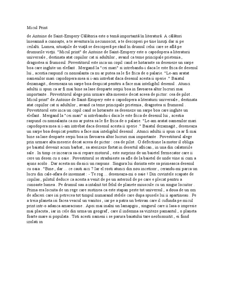 Puiul Rezumat Micul Print Rezumat | PDF