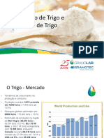 Trigo e Farinha de Trigo no Brasil: Tendências e Desafios