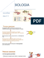 BIOL10 Aula11 27maio