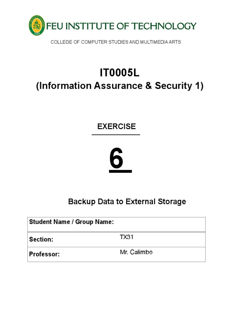 IT0005LaboratoryExercise6 Backup Data To External Storage PDF