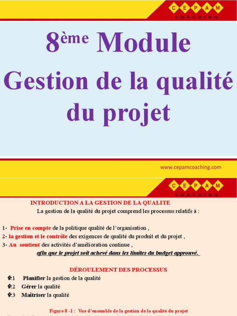 Chapitre 8. La Qualité | PDF | Management de la qualité | Application