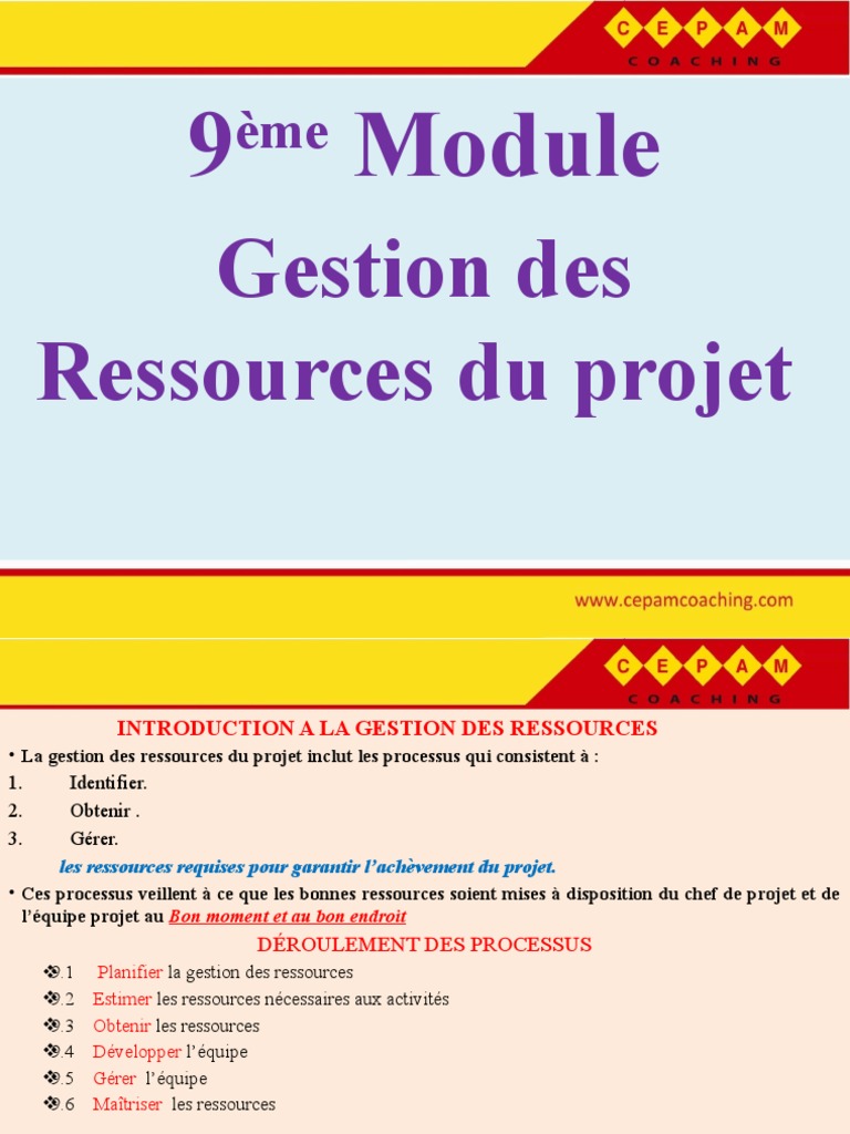 Gestion efficace des ressources projet | PDF | Intelligence ...