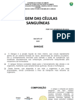 Aula 2 - Origem Das Celulas, Hemácias e Tubos de Coleta