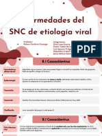 Enfermedades Del SNC de Etiología Viral