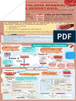 Transtornos Hemodinamicos