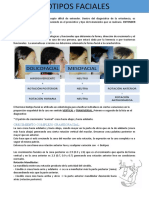 Biotipos Faciales