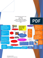 Presentación1 Mapa Mental