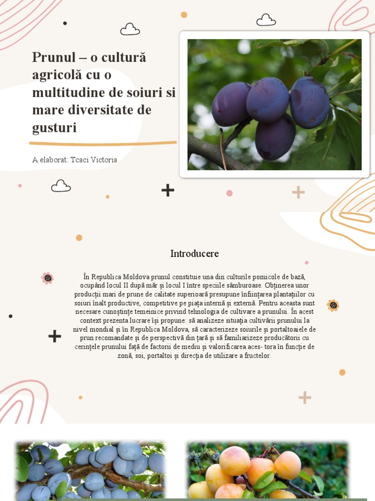 Prunul in Republica Moldova | PDF