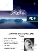 Anatomy & Physiology of Ear