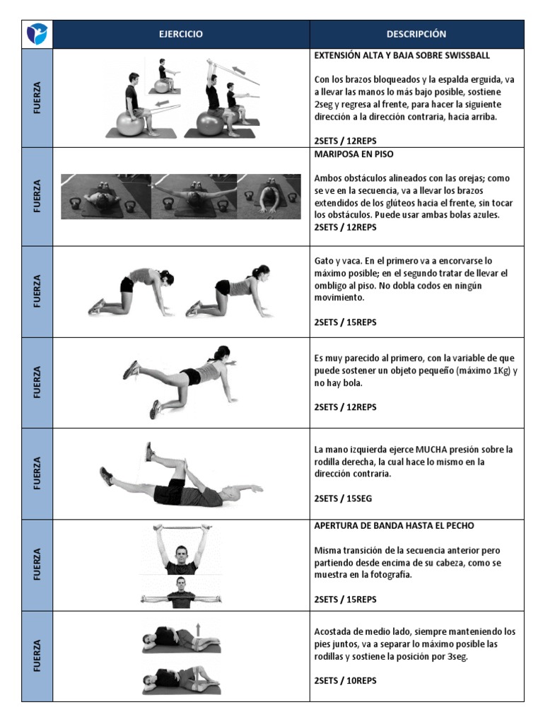 Rutina de Ejercicios para Espalda y Glúteos | PDF | Rodilla | Fuerza