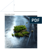 Mosses Project PDF