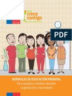 Rotafolio de Educacion Prenatal 2020