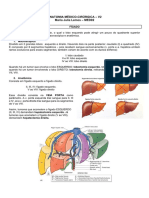 ANATOMIA-CIRURGICA FIGADO E VIAS BILIARES - Maju Lemos