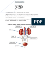 Activ - Ap. Excretor Hugo