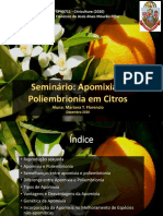 Apomixia e Poliembrionia em Citros