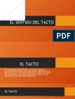 El Sentido Del Tacto