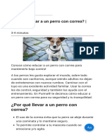 ¿Cómo Educar A Un Perro Con Correa Purina®