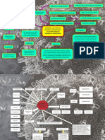 Diferenciacion de Celulas y Desarrollo