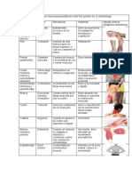 Lesiones Musculoesqueleticas