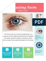 Facts About Eyes 2