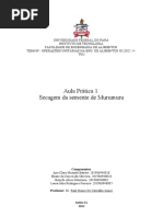 Prática 1 (Secagem- Semente Murumuru)