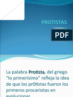 Protistas