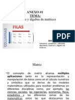 TEMA Matrices (Autoguardado)