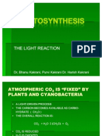 Photosynthesis