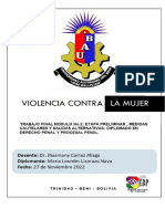 Actividad Final-Ensayo-Violencia Contra La Mujer