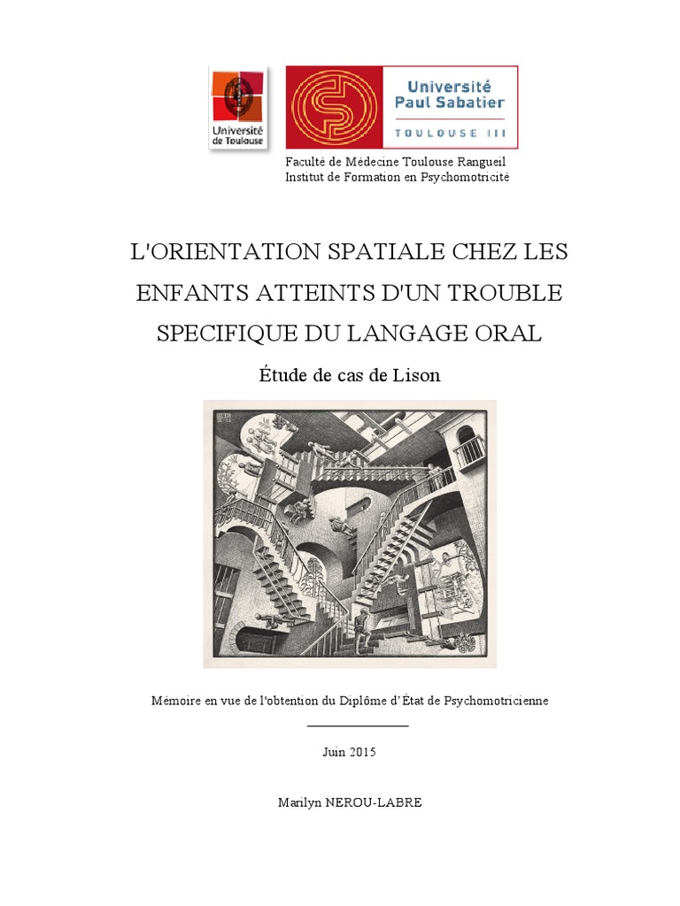 Orientation spatiale et TSLO chez l'enfant | PDF | Attention | la ...