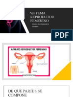 Sistema Reprodutor Femenino