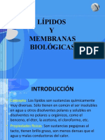 Lipidos 1