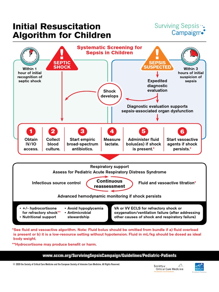Initial Resuscitation Algorithm For Children Pdf.aspx PDF Sepsis