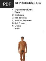 Mast ayol porno video