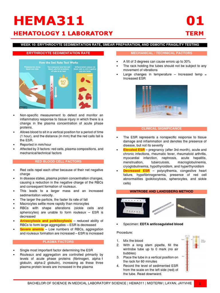 Hema311 Lab - Week 10 - Erythrocyte Sedimentation Rate, Smear ...