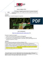 Plásticos y contaminación