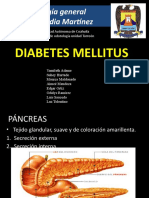 Diabetes Mellitus Completa