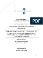 Tesis Doctoral Facultad de Medicina: Programa de Doctorado Organogénesis I Anatomía Clínica I Aplicada BIENIO 2002-2004