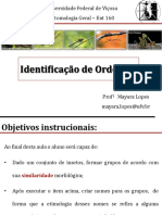 Identificação de Insetos por Ordens