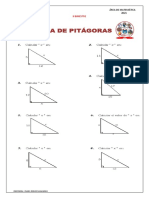 Ficha Teorema de Pitágoras