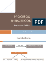 Procesos Energticos II