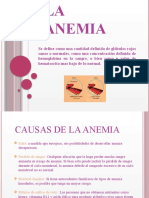 La Anemia (Autogestion)