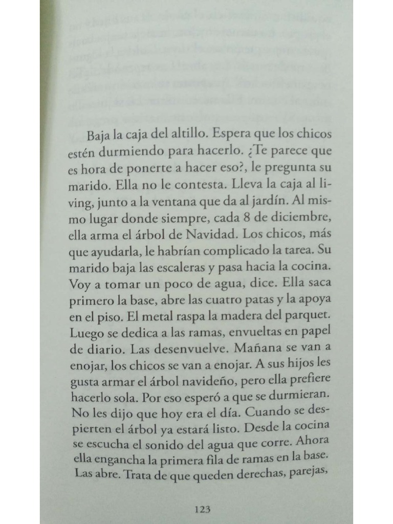Mañana - Claudia Piñeiro | PDF