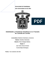 Debilidades y Fortalezas Genéticas en El Tamaño de Camada de Cerdos